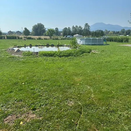 Mocvirski Tulipan * Ljubljana