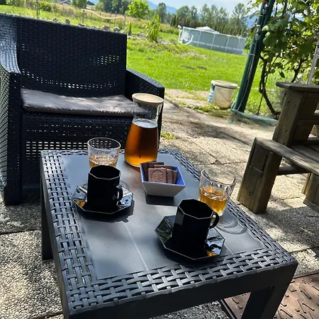 Mocvirski Tulipan Ljubljana