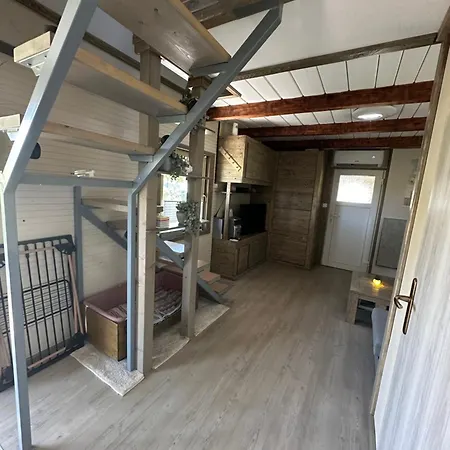 Mocvirski Tulipan 샬레 *