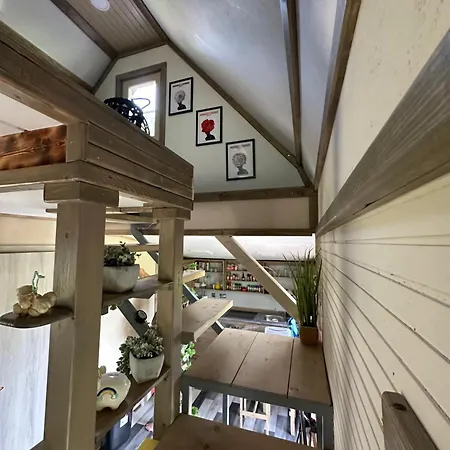 Mocvirski Tulipan 류블랴나