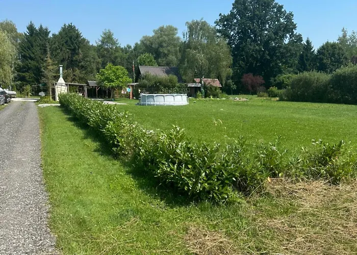 Mocvirski Tulipan Ljubljana