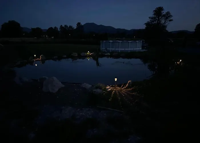 Mocvirski Tulipan * Ljubljana