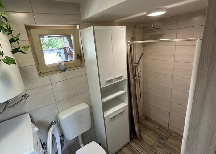 Mocvirski Tulipan * Ljubljana