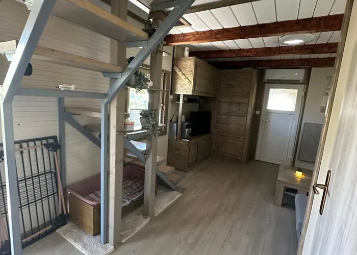 Mocvirski Tulipan Chalet *