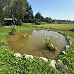Chalet Mocvirski Tulipan Ljubljana