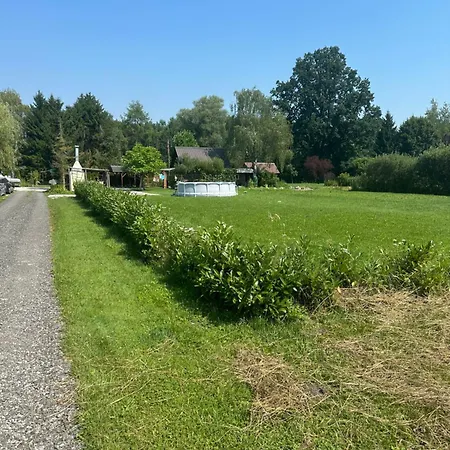 Mocvirski Tulipan Lubiana