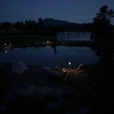 Mocvirski Tulipan * Lubiana