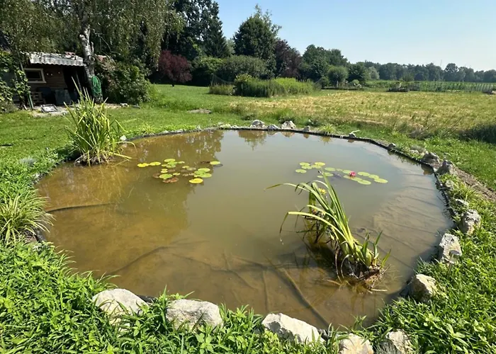 Chalet Mocvirski Tulipan Lubiana