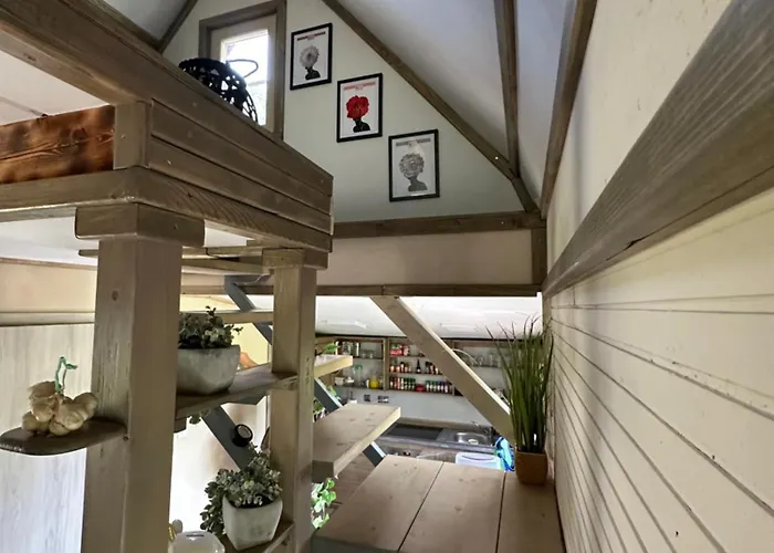 Mocvirski Tulipan Lubiana